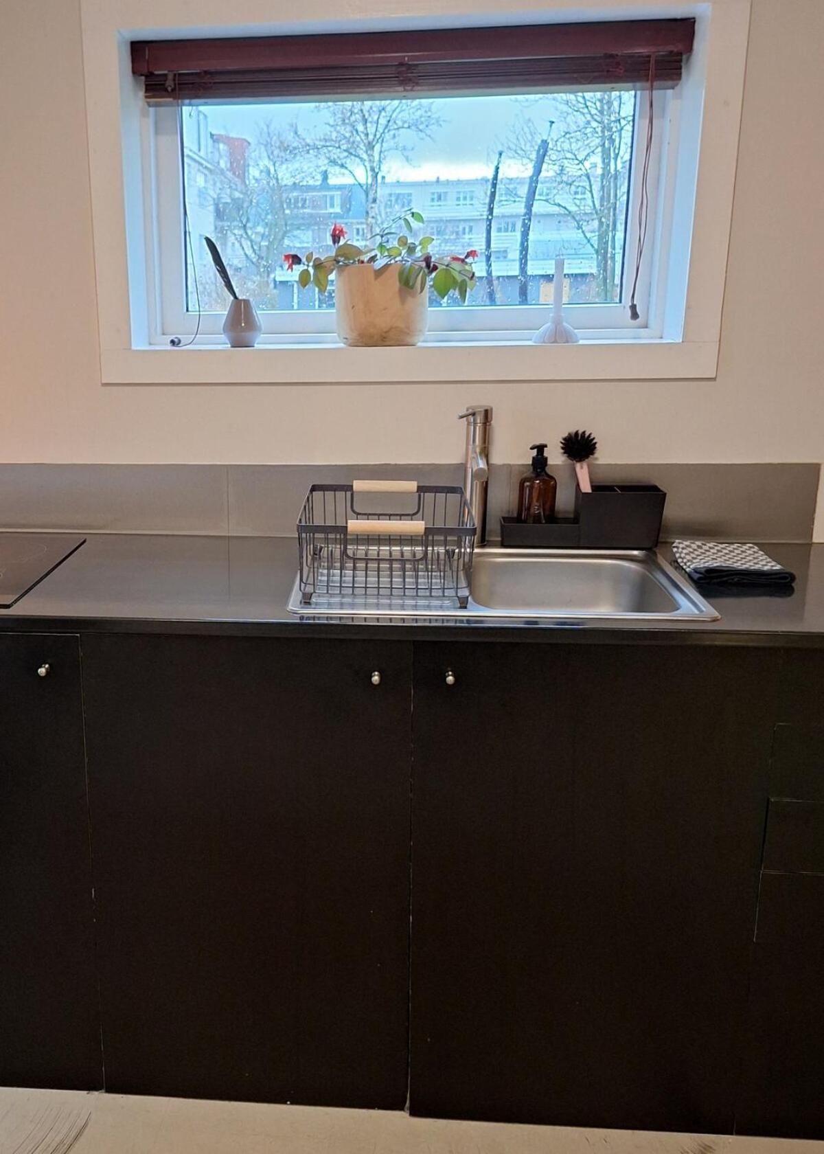 Central Reykjavik - Garden Cottage מראה חיצוני תמונה