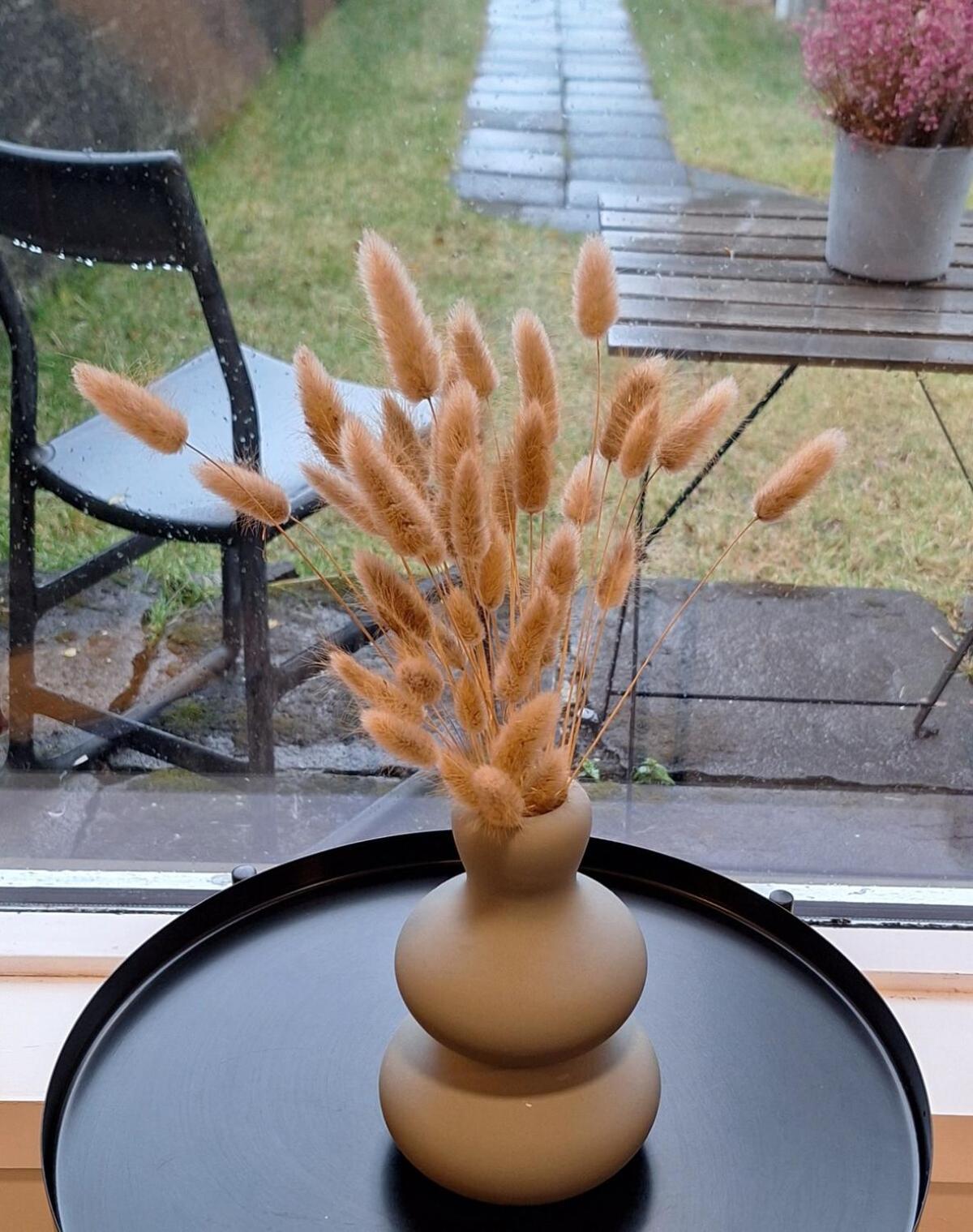 Central Reykjavik - Garden Cottage מראה חיצוני תמונה